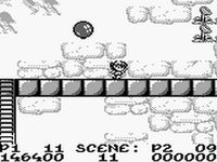 RodLand sur Nintendo Game Boy